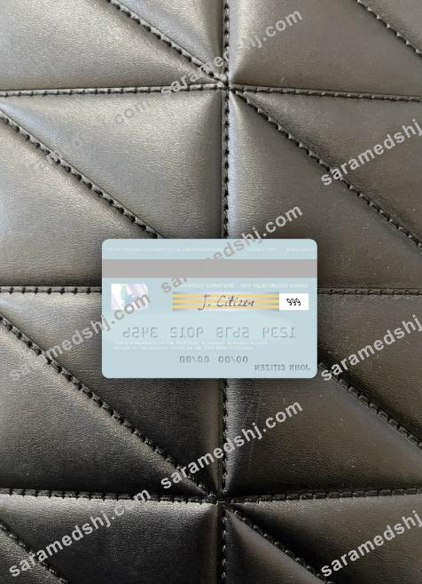 Lithuania DNB Bank visa debit card photolook back